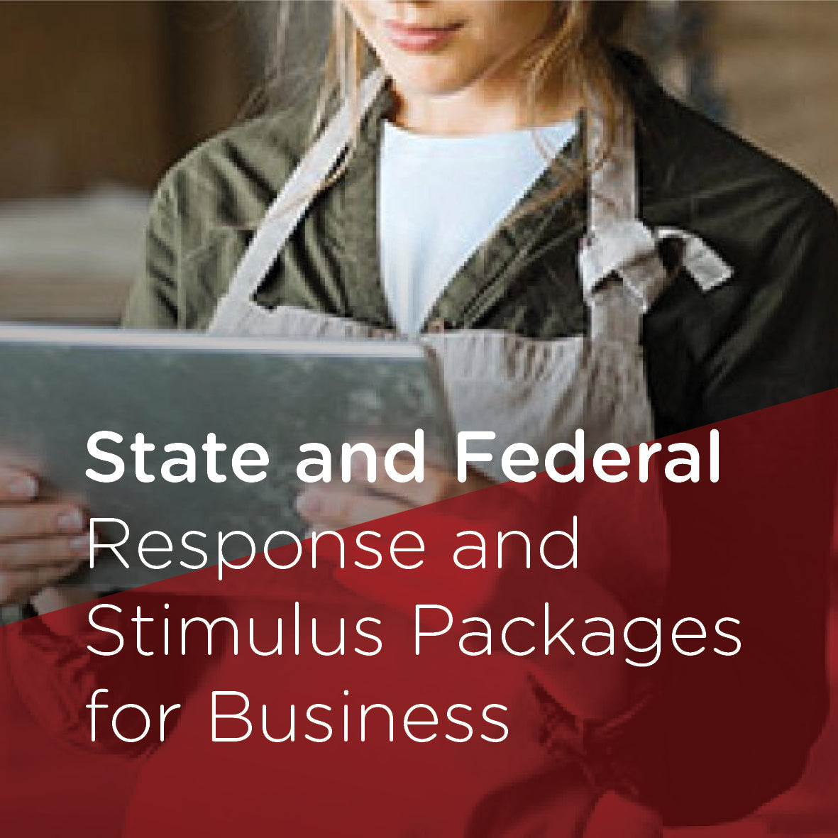 Covid-19 - State and Federal Response Stimulus